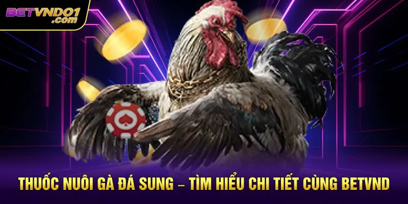 Thuốc Nuôi Gà Đá Sung – Tìm Hiểu Chi Tiết Cùng Betvnd