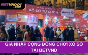 Cộng Đồng Chơi Xổ Số Tại Betvnd - Hợp Tác Cùng Phát Triển