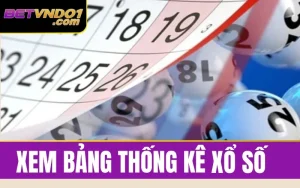 Hướng Dẫn Xem Bảng Thống Kê Xổ Số Đầy Đủ Và Chi Tiết