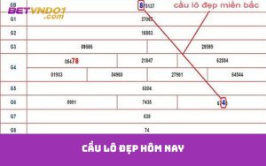 cầu lô đẹp hôm nay