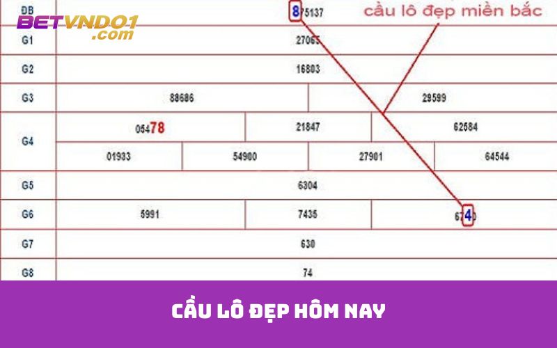 cầu lô đẹp hôm nay